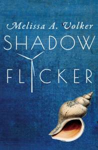 Shadow Flicker_LR for web